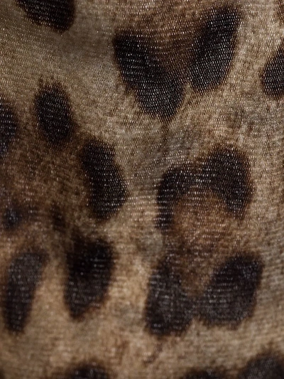 Shop Dolce & Gabbana Leopard-print Tights In Brown