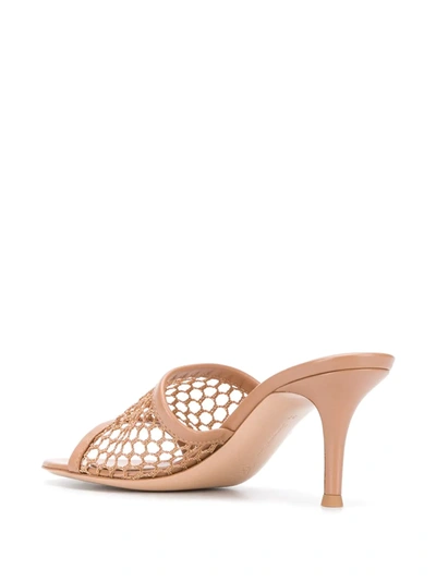 Shop Gianvito Rossi Jamaica 70mm Mules In Neutrals