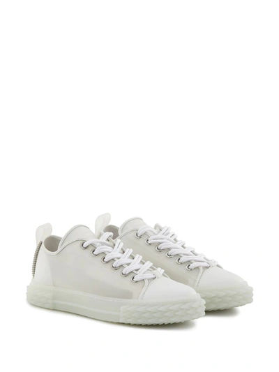 Shop Giuseppe Zanotti Blabber Sneakers In White