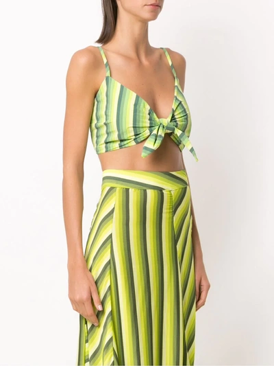 Shop Amir Slama Striped Cropped Top In Green