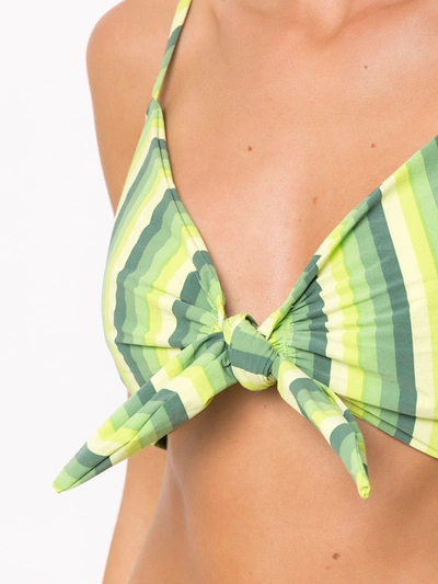 Amir Slama Striped Cropped Top In Green