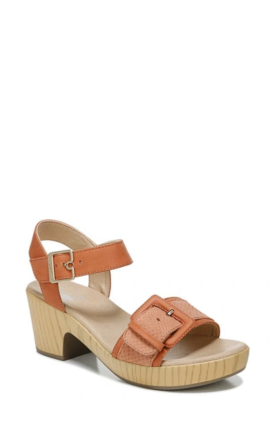 Shop Dr. Scholl's Felicity Clog Sandal In Dusted Clay