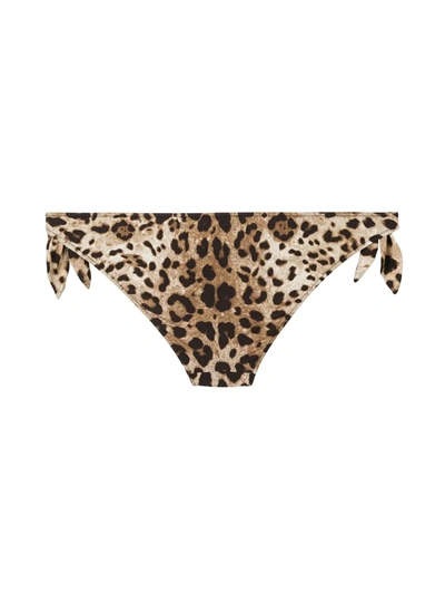 Shop Dolce & Gabbana Leopard-print Bikini Briefs In Neutrals