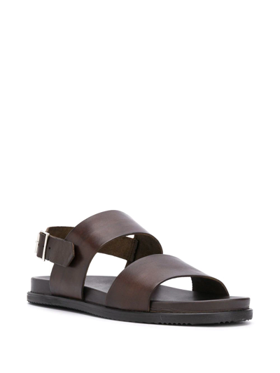 Shop Scarosso Antonio Strap Sandals In Brown