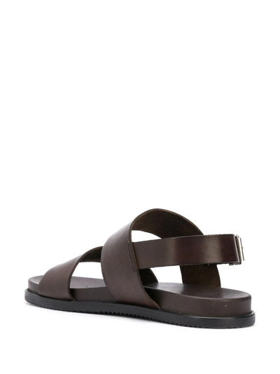 Shop Scarosso Antonio Strap Sandals In Brown