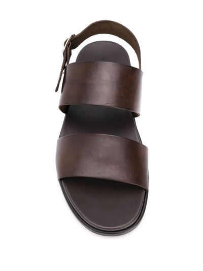 Shop Scarosso Antonio Strap Sandals In Brown