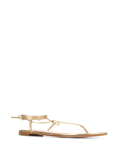 Gianvito Rossi Metallic Gold Leather Flat Sandals In Gold