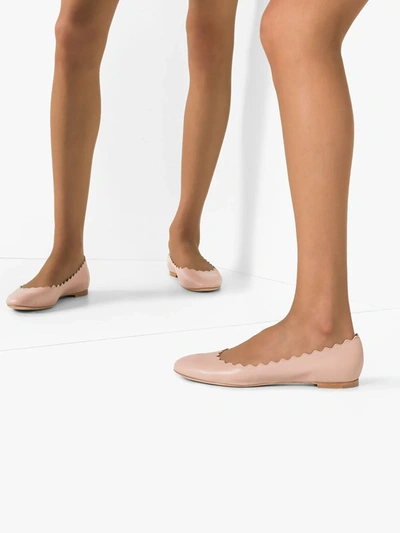 Chloé Chloe Lauren Scalloped Leather Ballerina Flat In Pink