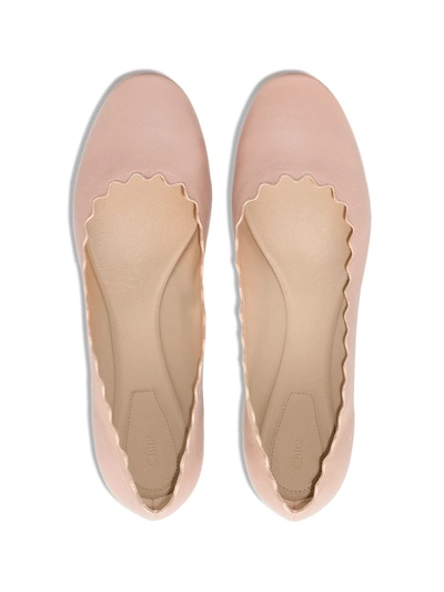 Chloé Chloe Lauren Scalloped Leather Ballerina Flat In Pink