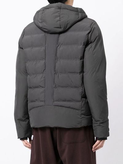 North Sails Quilted Puffer Jacket In Grau