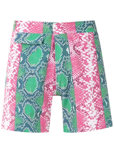 Shop Amir Slama Printed Swimming Shorts In Multicolour