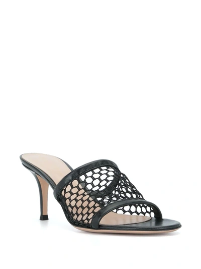 Shop Gianvito Rossi Jamaica Mesh Mules In Black