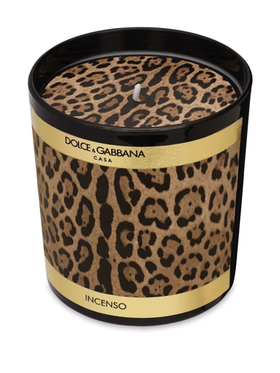 Shop Dolce & Gabbana Leopard-print Scented Candle (250g) In Schwarz