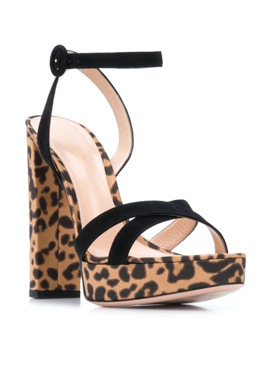 Shop Gianvito Rossi Poppy Leopard Print Sandals In Black