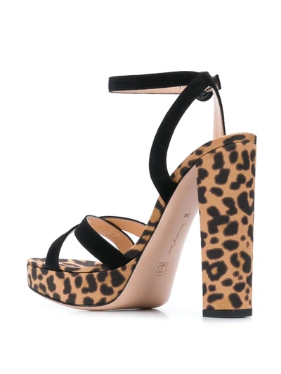 Shop Gianvito Rossi Poppy Leopard Print Sandals In Black