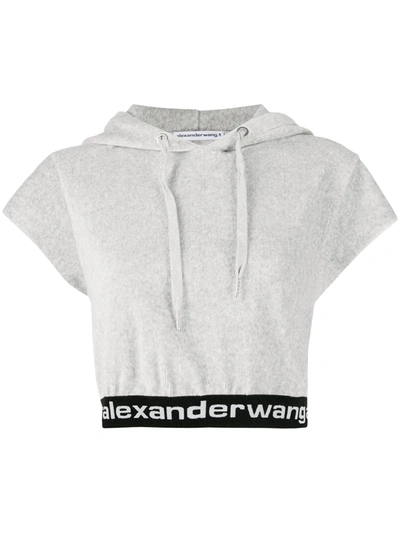 Shop Alexander Wang T Cropped Short-sleeve Hoodie In Grey