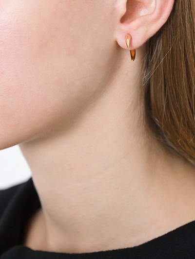 Shop Shaun Leane 18kt Yellow Gold Small Talon Earrings In Metallic