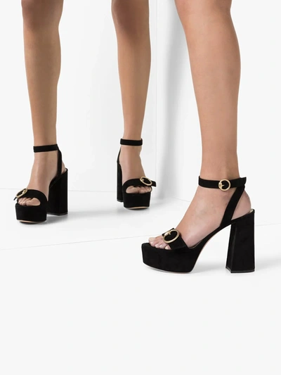 Shop Gianvito Rossi Zandra Suede Platform Sandals In Black