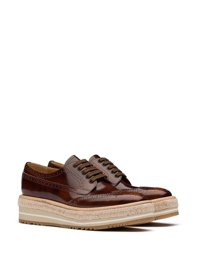 Shop Prada Lace-up Derby Shoes In Brown