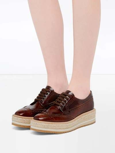 Shop Prada Lace-up Derby Shoes In Brown