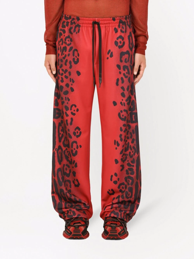 Shop Dolce & Gabbana Leopard-print Wide-leg Trousers In Red