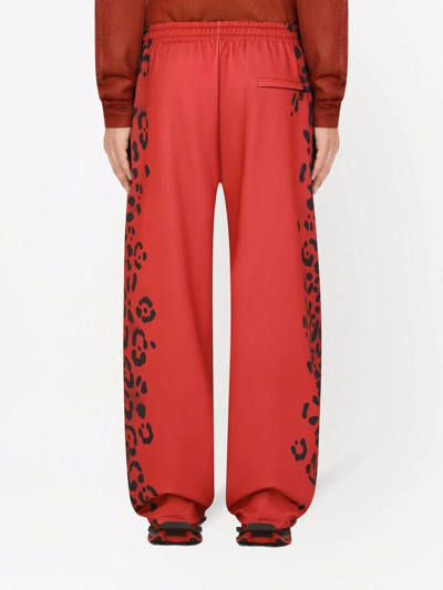 Shop Dolce & Gabbana Leopard-print Wide-leg Trousers In Red