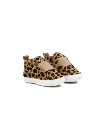 Shop Giuseppe Junior The Baby Sneakers In Brown