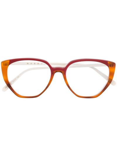 Shop Marni Eyewear Cat Eye Frame Glasses In Neutrals