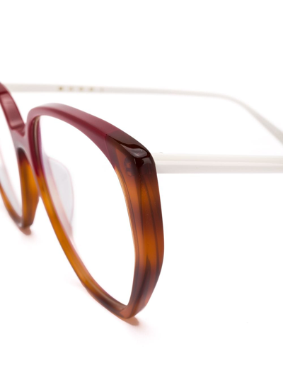 Shop Marni Eyewear Cat Eye Frame Glasses In Neutrals