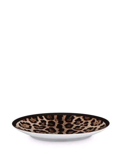 Shop Dolce & Gabbana Leopard-print Porcelain Bread Plates (set Of 2) In Brown