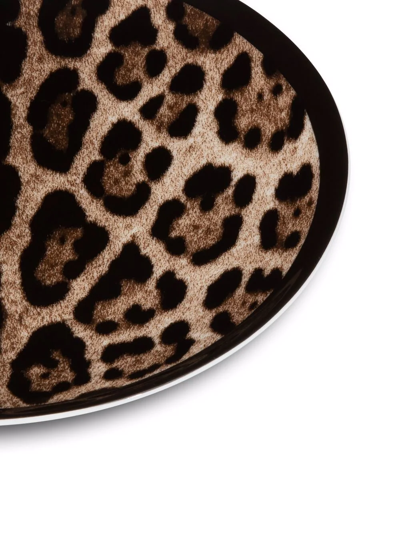 Shop Dolce & Gabbana Leopard-print Porcelain Bread Plates (set Of 2) In Brown