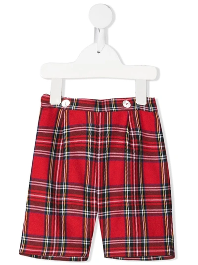 Siola Check Tailored Shorts In Red