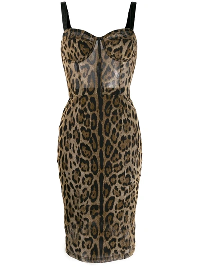 Shop Dolce & Gabbana Leopard Print Fitted Dress In Brown