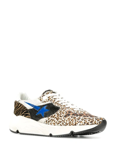 Shop Golden Goose Leopard Print Low Top Sneakers In Brown