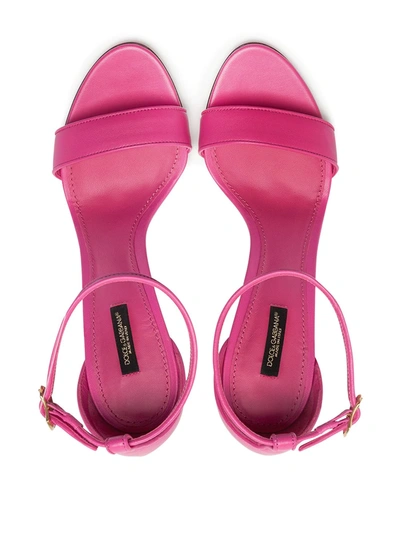 Shop Dolce & Gabbana Baroque Dg 105mm Leather Sandals In Pink