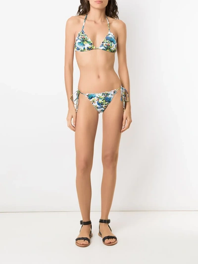 Shop Amir Slama Tropical Pattern Bikini Set In White