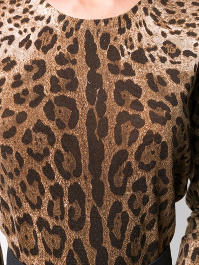 Shop Dolce & Gabbana Leopard Pattern Jumper In Brown