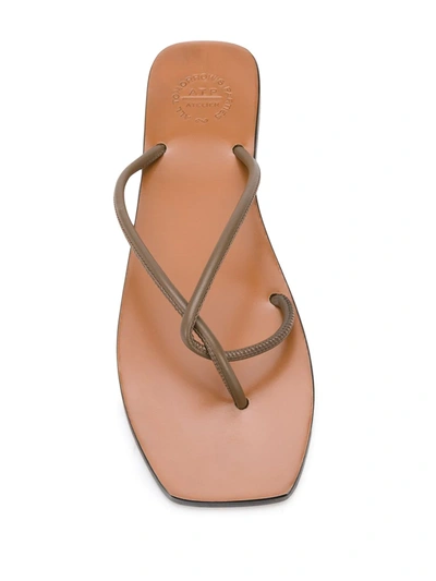 Shop Atp Atelier Alessano Flat Sandals In Brown