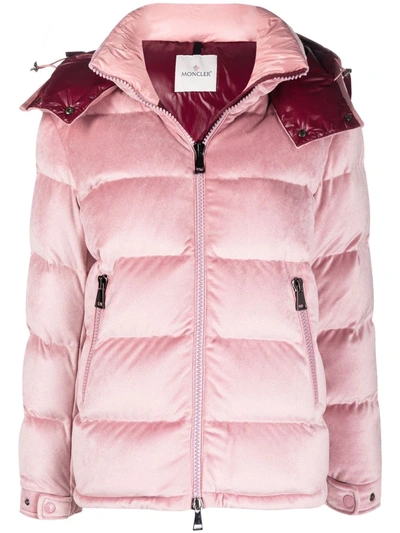 Shop Moncler Holostee Velvet Puffer Jacket In Pink