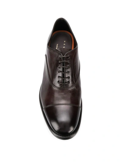 Shop Henderson Baracco Oxford Shoes In Brown