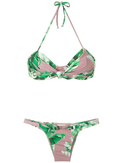 Shop Amir Slama Floral Print Bikini Set In Green