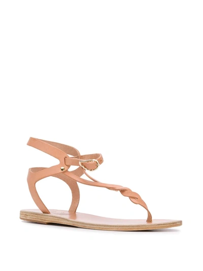 Shop Ancient Greek Sandals Ismene Sandals In Neutrals