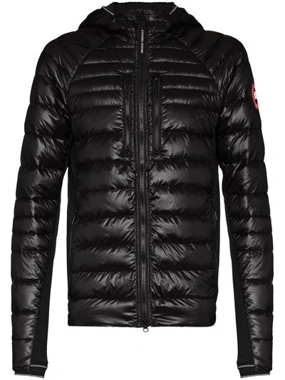 Shop Canada Goose Black Hybridge Lite Padded Jacket