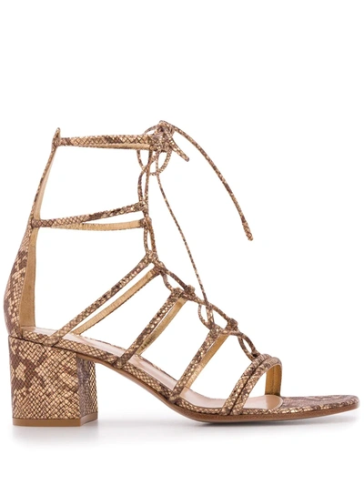 Shop Gianvito Rossi Snakeskin-effect 70mm Lace-up Sandals In Gold