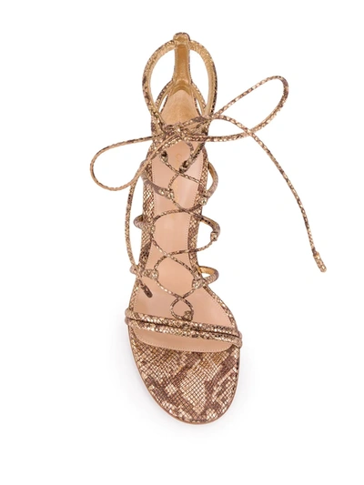 Shop Gianvito Rossi Snakeskin-effect 70mm Lace-up Sandals In Gold