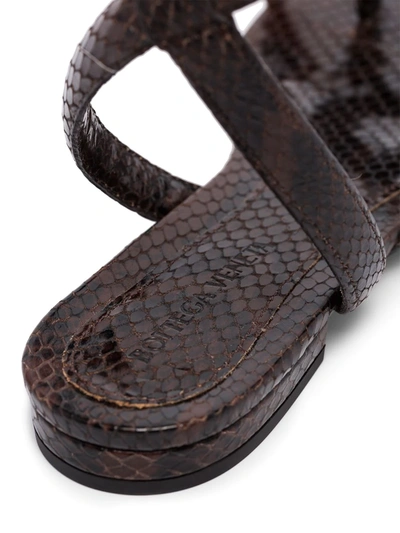 Shop Bottega Veneta Wrap-around Ankle Strap Sandals In Brown