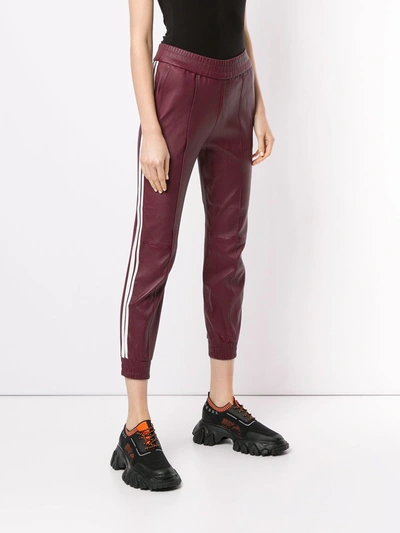 Shop Sprwmn Athletic Cuffed Joggers In Red