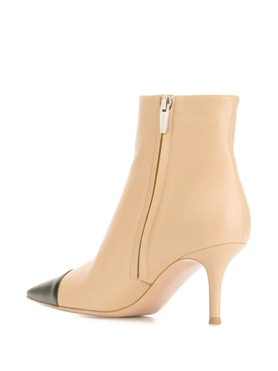 Shop Gianvito Rossi Contrast Toe Ankle Boots In Neutrals