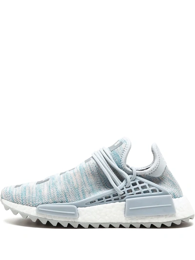 Shop Adidas Originals X Pharrel Williams X Billionaire Boys Club Human Race Nmd Tr Sneakers In Blue