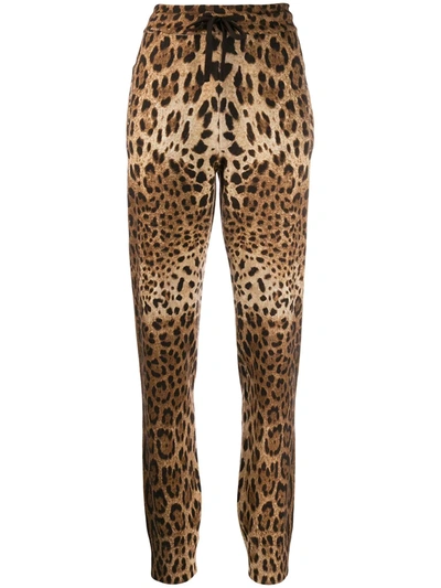 Shop Dolce & Gabbana Cashmere Leopard Print Track Pants In Brown